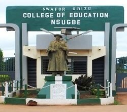 A picture of Nwafor Orizu College of Education