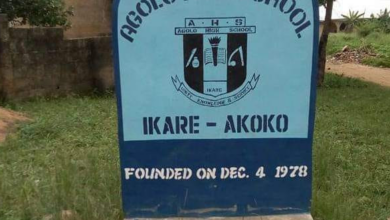 One student is killed and many others are injured in a cult conflict during inter-house sports.